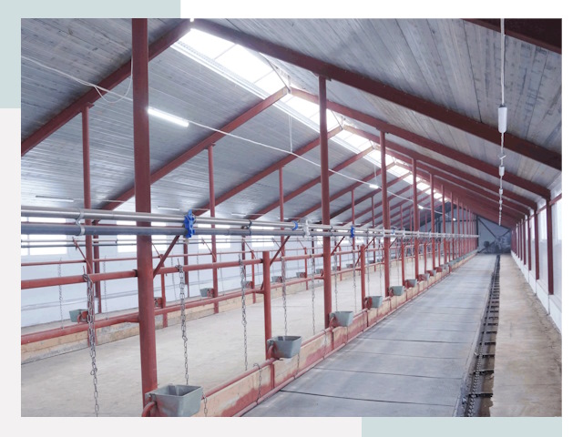 Строительство коровников в Партизанске от 644 руб.