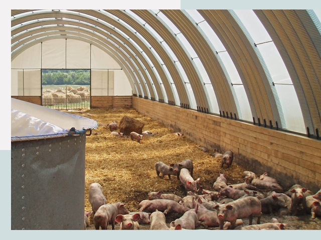 Строительство свинарников в Партизанске