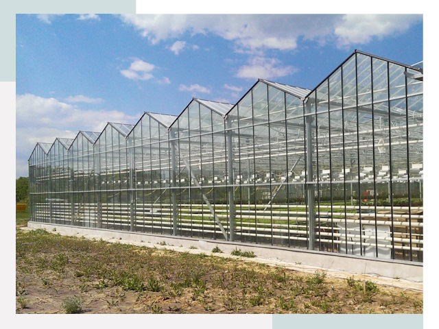 Строительство теплиц в Партизанск от 644 руб. за м²